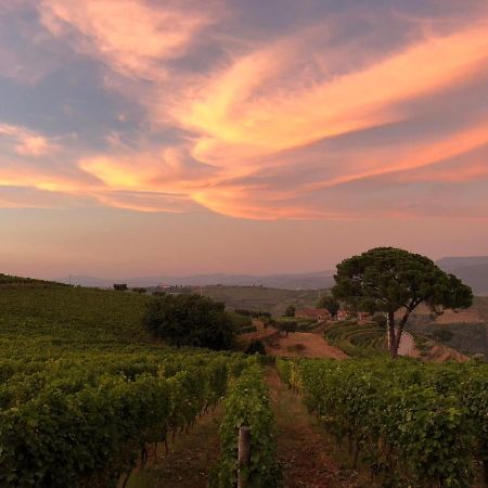 Вилла Quinta Dos Espinheiros Provesende Экстерьер фото