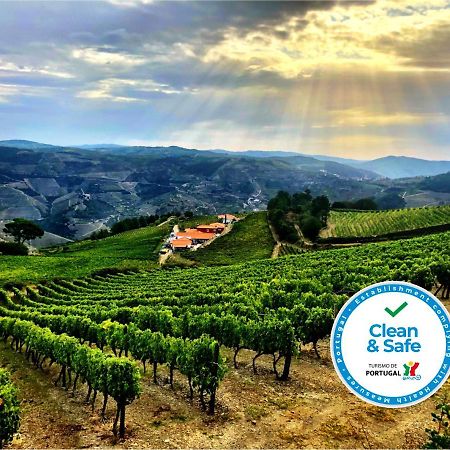 Вилла Quinta Dos Espinheiros Provesende Экстерьер фото