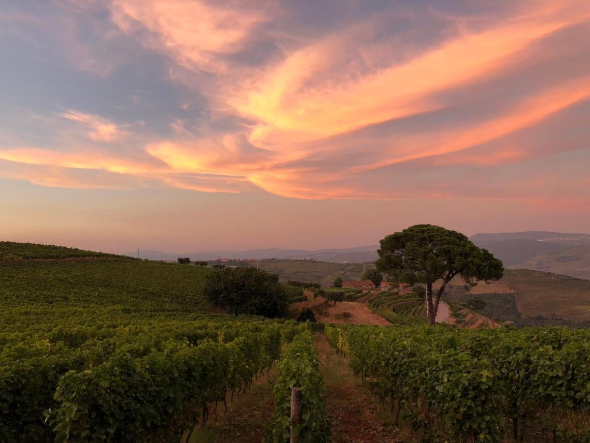 Вилла Quinta Dos Espinheiros Provesende Экстерьер фото