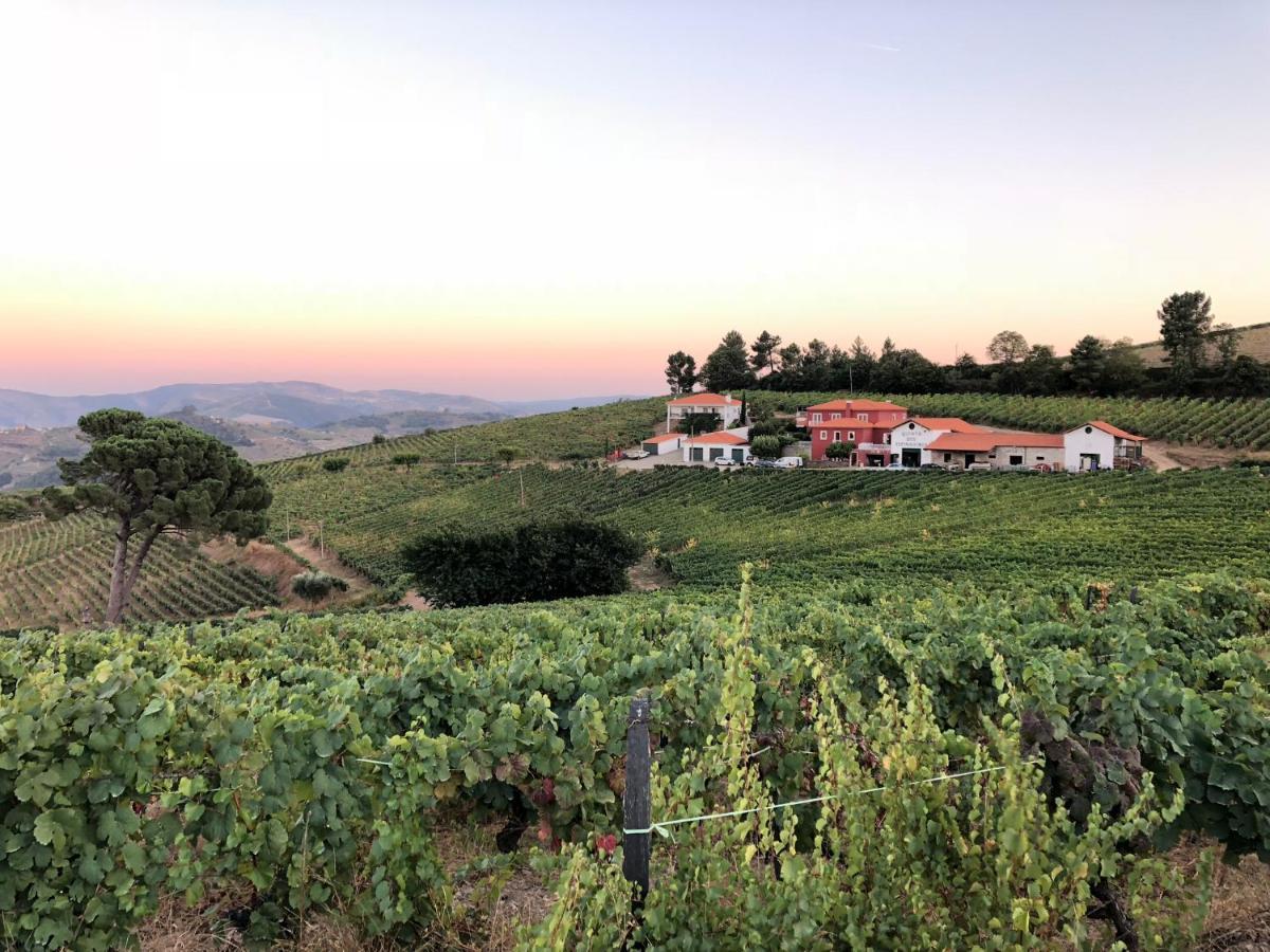 Вилла Quinta Dos Espinheiros Provesende Экстерьер фото