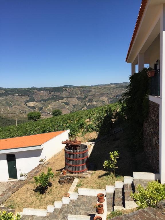 Вилла Quinta Dos Espinheiros Provesende Номер фото
