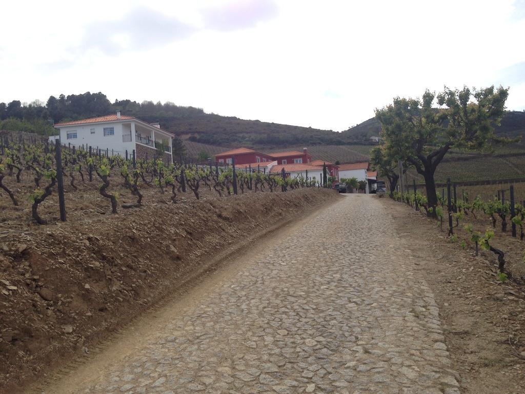 Вилла Quinta Dos Espinheiros Provesende Номер фото
