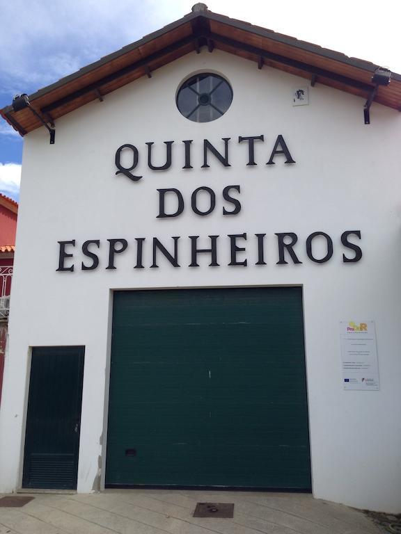 Вилла Quinta Dos Espinheiros Provesende Номер фото