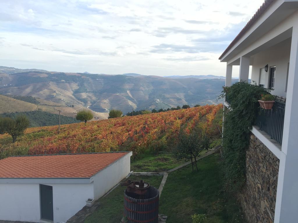 Вилла Quinta Dos Espinheiros Provesende Экстерьер фото