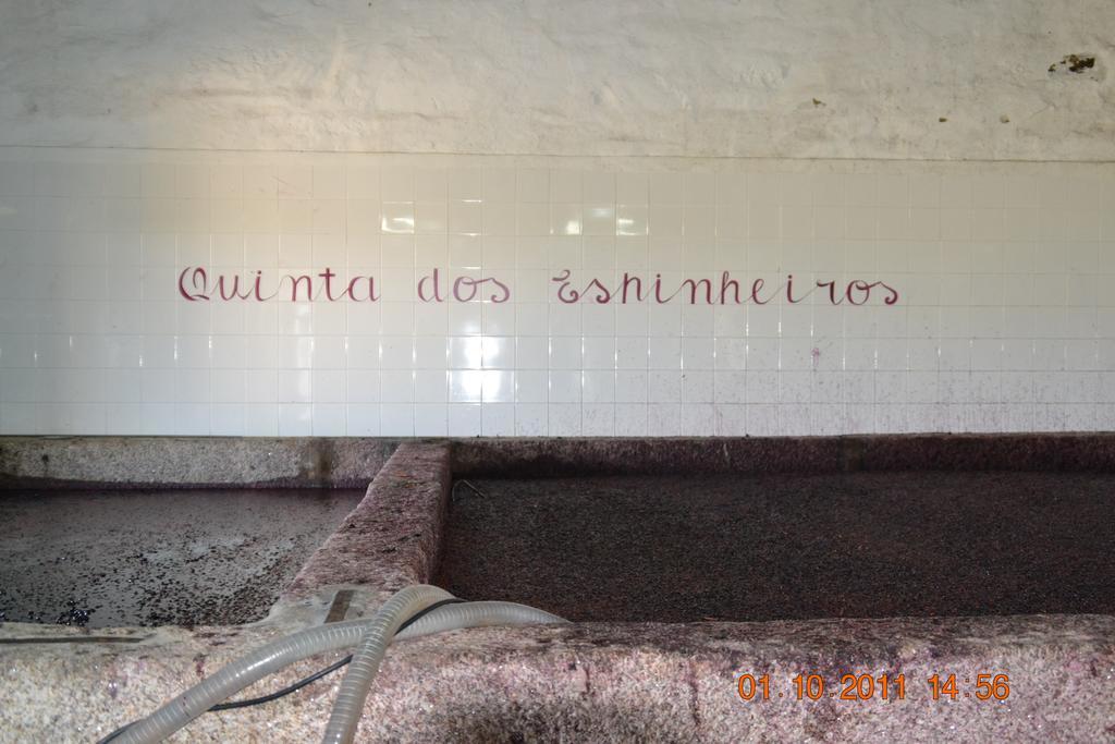 Вилла Quinta Dos Espinheiros Provesende Экстерьер фото