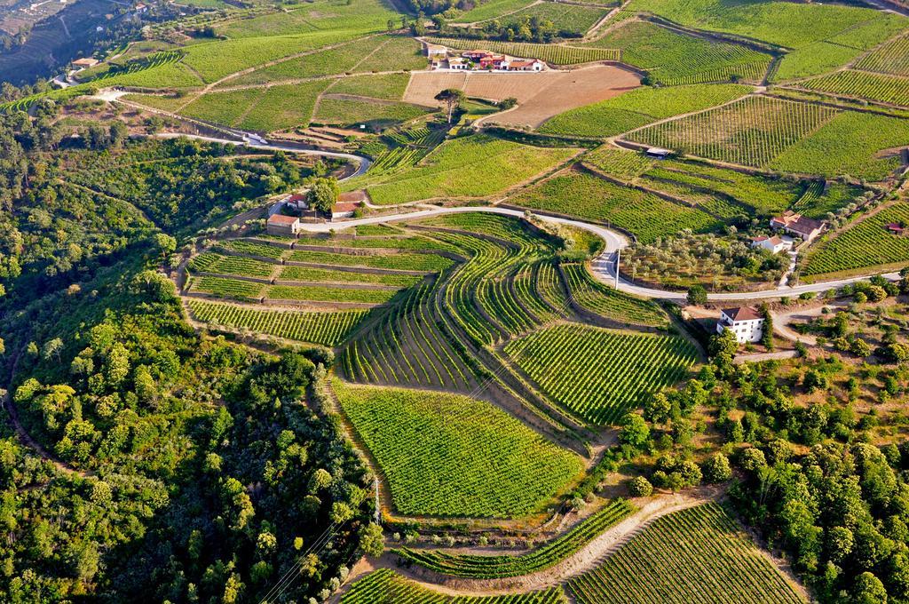 Вилла Quinta Dos Espinheiros Provesende Экстерьер фото