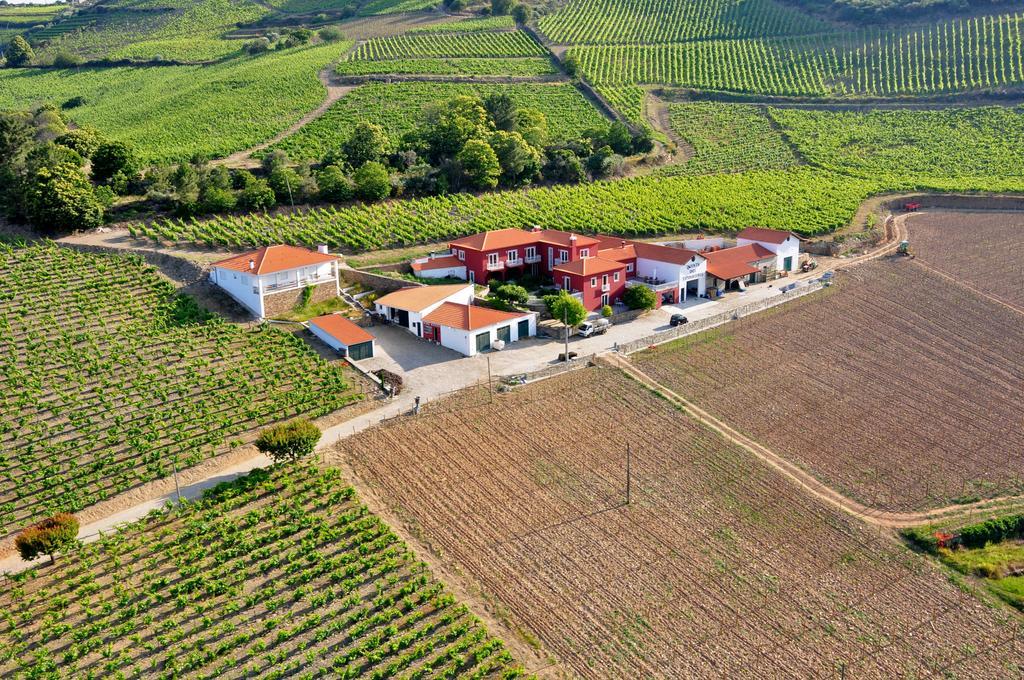 Вилла Quinta Dos Espinheiros Provesende Экстерьер фото