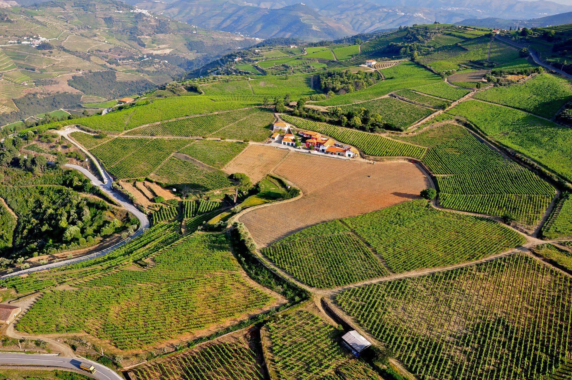 Вилла Quinta Dos Espinheiros Provesende Экстерьер фото