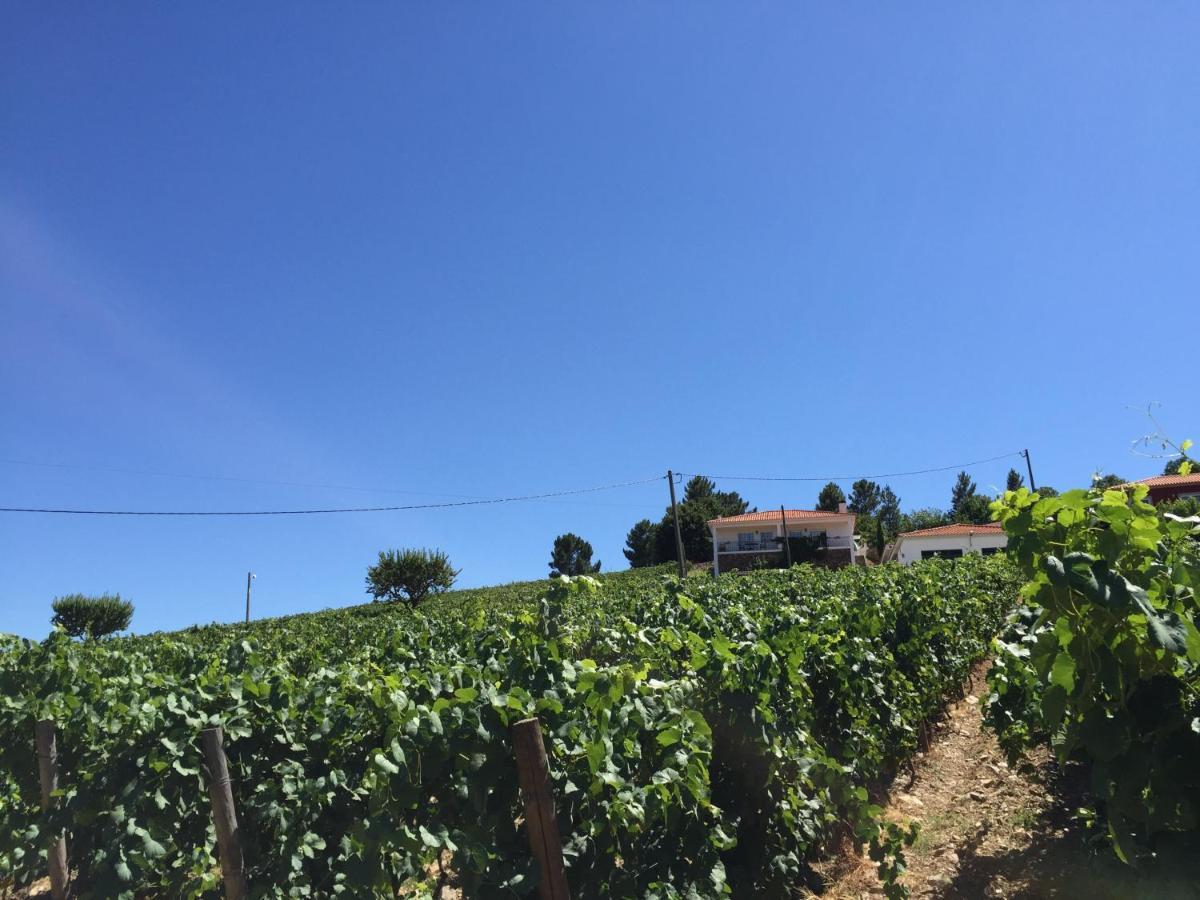 Вилла Quinta Dos Espinheiros Provesende Номер фото