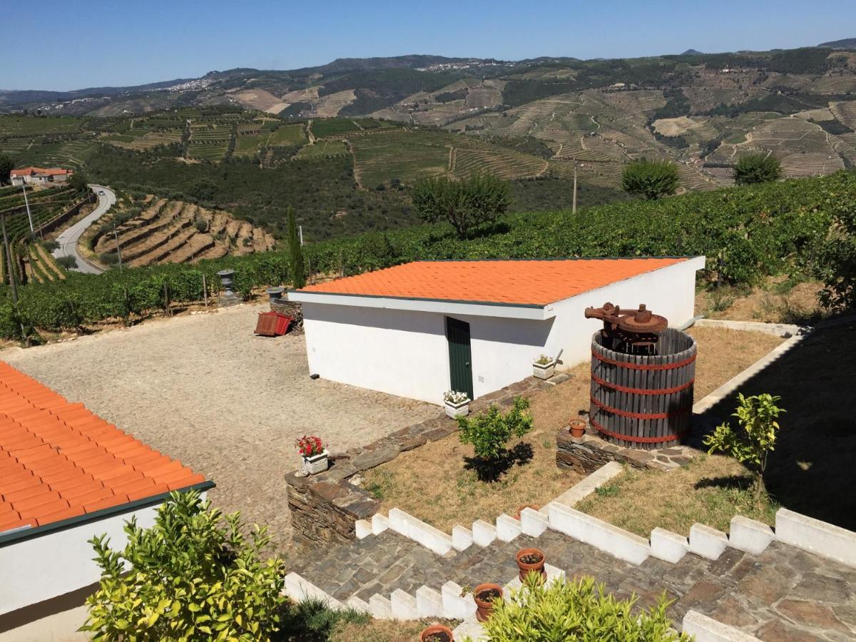 Вилла Quinta Dos Espinheiros Provesende Номер фото