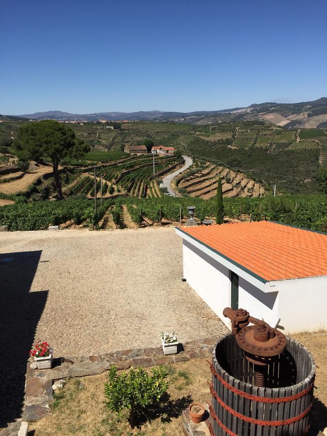 Вилла Quinta Dos Espinheiros Provesende Номер фото